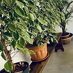 Stylish Boutique House - Turquoise - Outdoor Yard & Adjoining Cafeteria - Very Central! Near Valletta - Non-sharing & Quiet 아파트 *