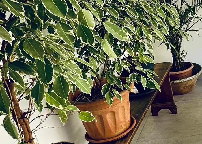 Stylish Boutique House - Turquoise - Outdoor Yard & Adjoining Cafeteria - Very Central! Near Valletta - Non-sharing & Quiet 아파트 *